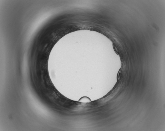 X0000111660382200908141319