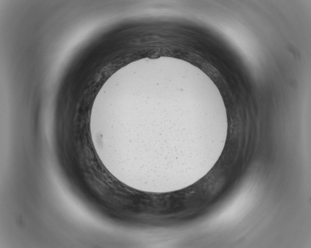 X0000111660383200908141319