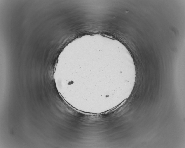 X0000111660384200908141319