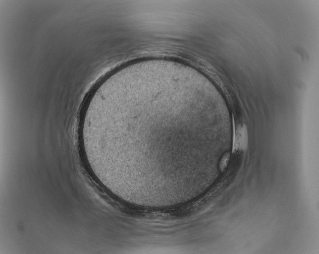 X0000111660387200908141318