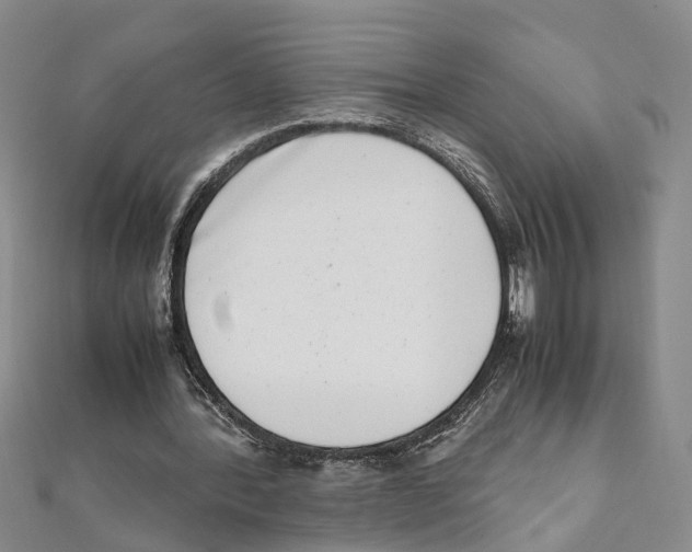 X0000111660388200908141318