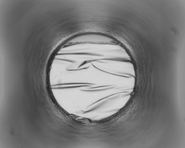 X0000111660391200908141318