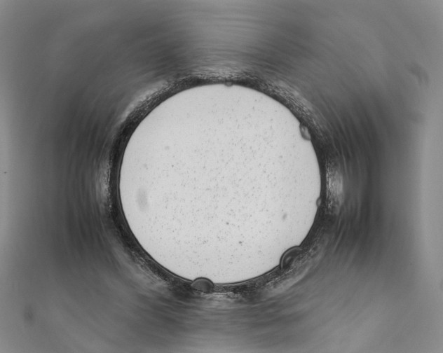 X0000111660396200908141318