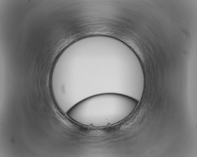 X0000111660397200908141318