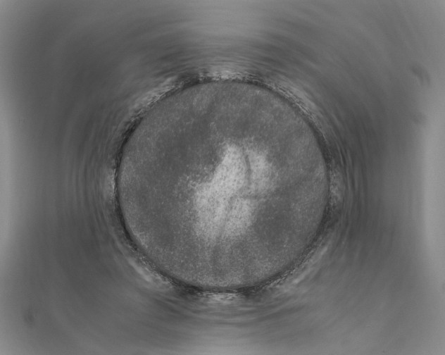 X0000111660401200908141318