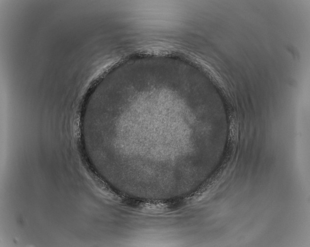 X0000111660403200908141318