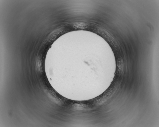 X0000111660408200908141318