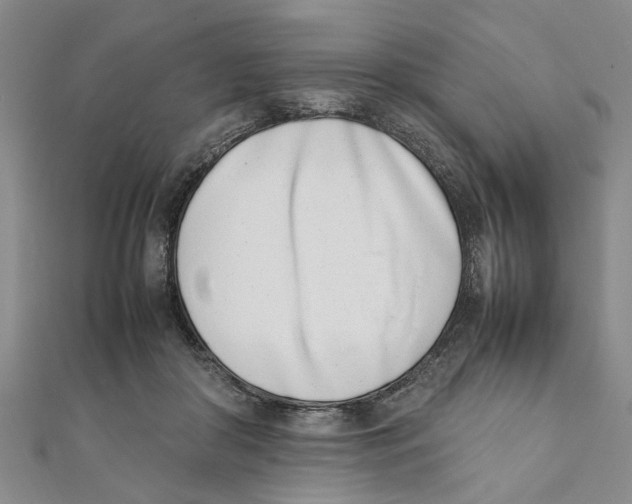 X0000111660410200908141318