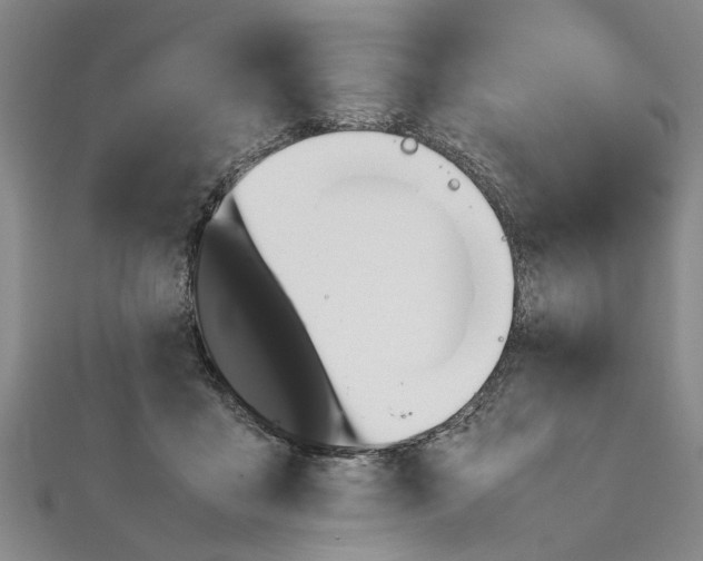 X0000111660411200908141318