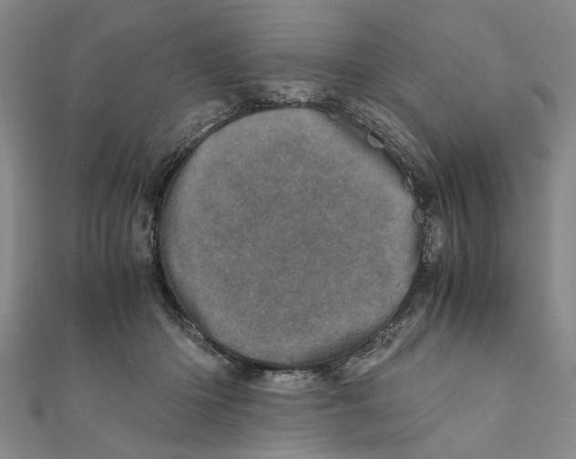 X0000111660414200908141318