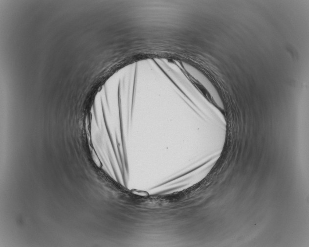 X0000111660415200908141318