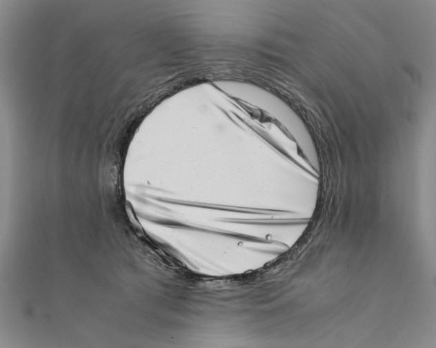 X0000111660417200908141318