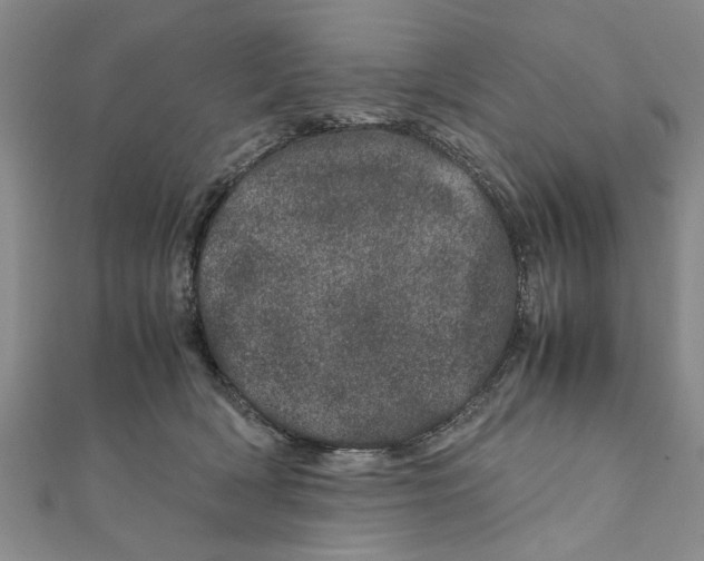 X0000111660418200908141318