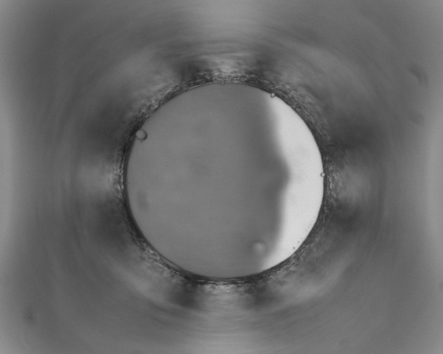 X0000111660419200908141318