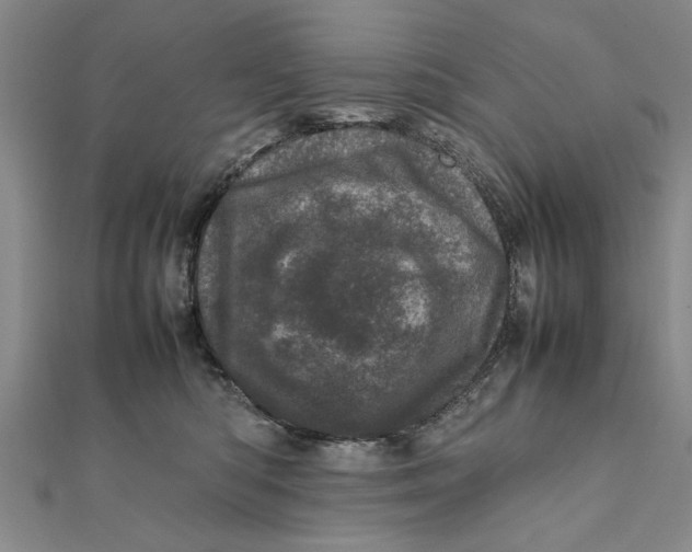 X0000111660422200908141317