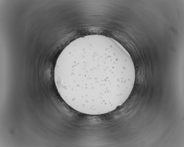 X0000111660424200908141317