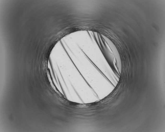 X0000111660425200908141317