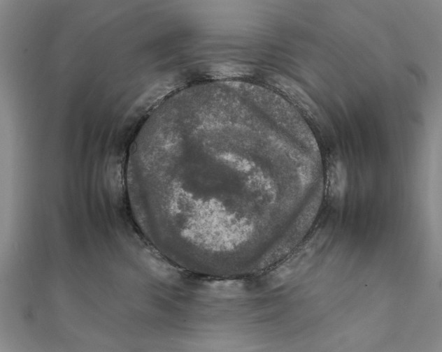 X0000111660426200908141317