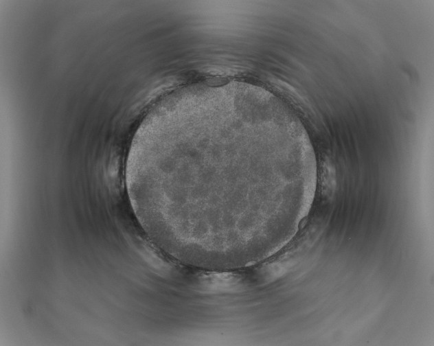 X0000111660428200908141317