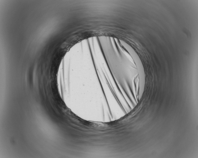 X0000111660429200908141317