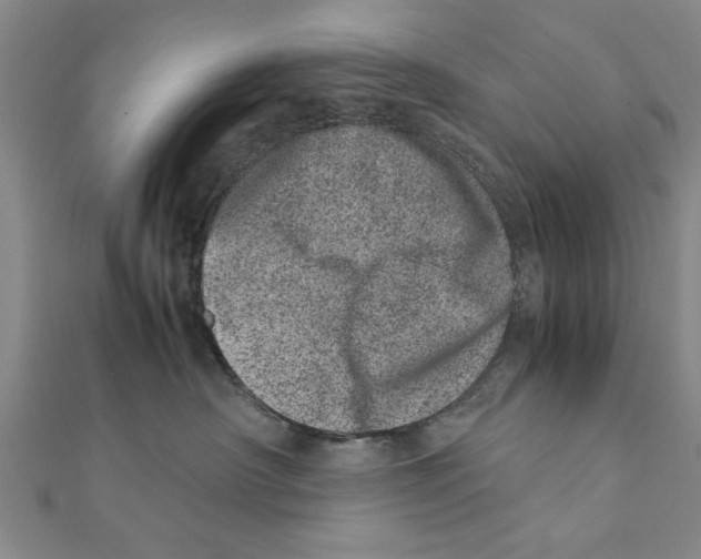 X0000111660430200908141317