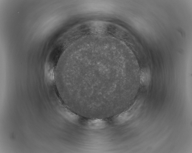 X0000111660431200908141317