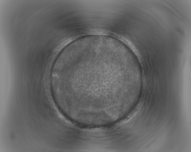 X0000111660433200908141317