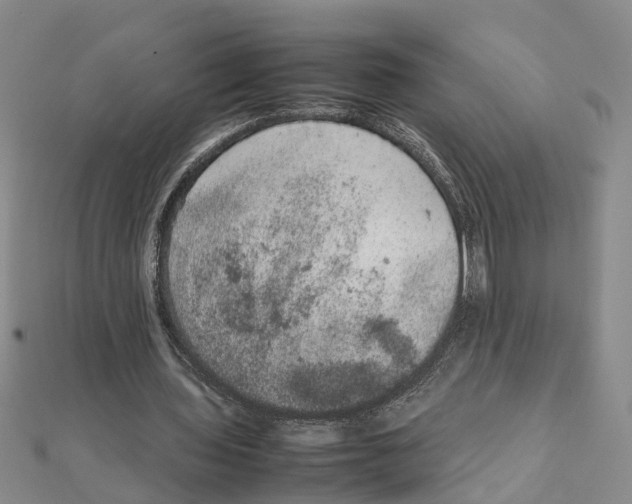 X0000111660435200908141317