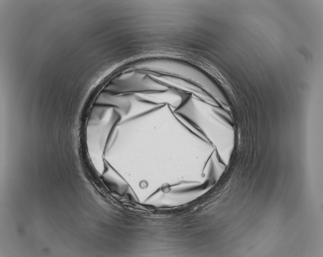 X0000111660436200908141317