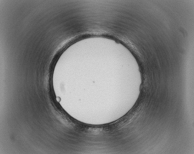 X0000111660440200908141317