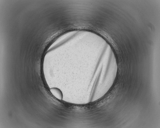 X0000111660442200908141317