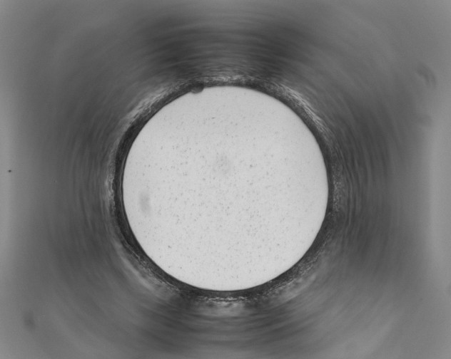 X0000111660443200908141317