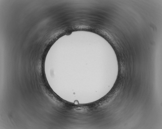 X0000111660447200908141317