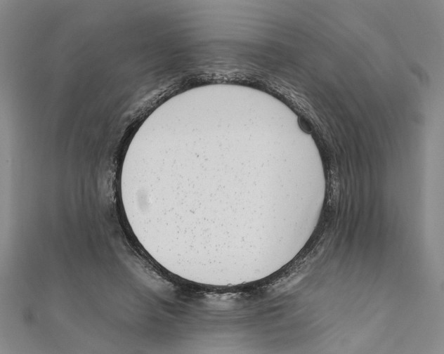 X0000111660450200908141317