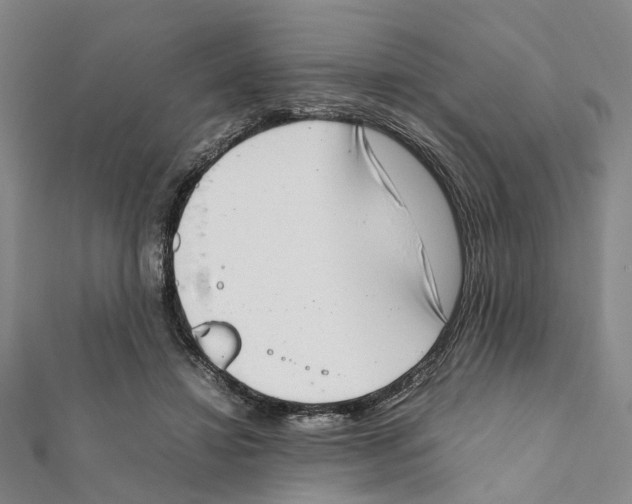 X0000111660452200908141317