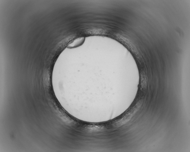 X0000111660453200908141317