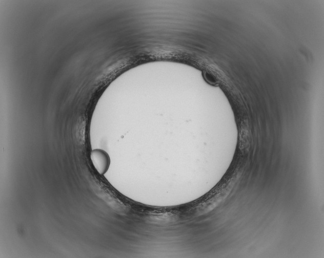 X0000111660454200908141317