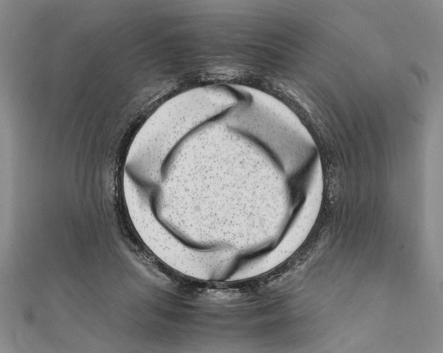 X0000111660455200908141317