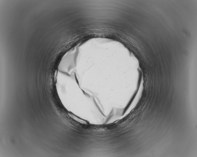 X0000111660456200908141317