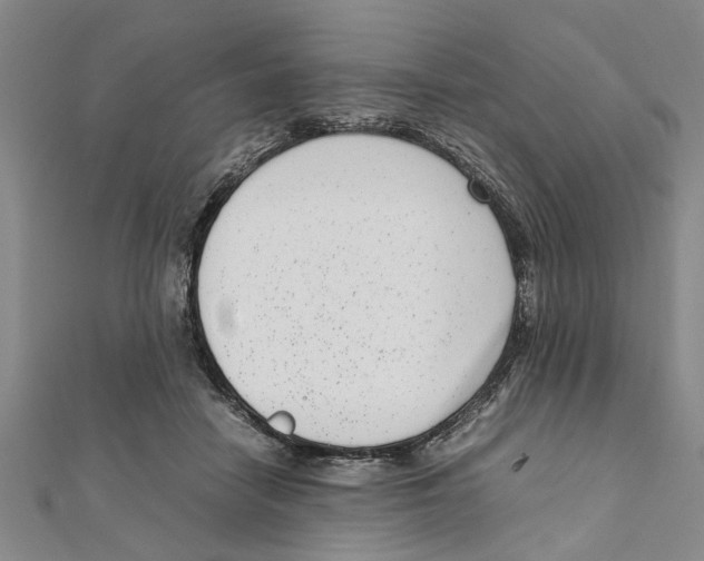 X0000111660458200908141317