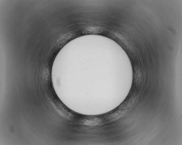 X0000111660459200908141317