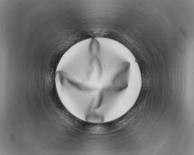 X0000111660460200908141317