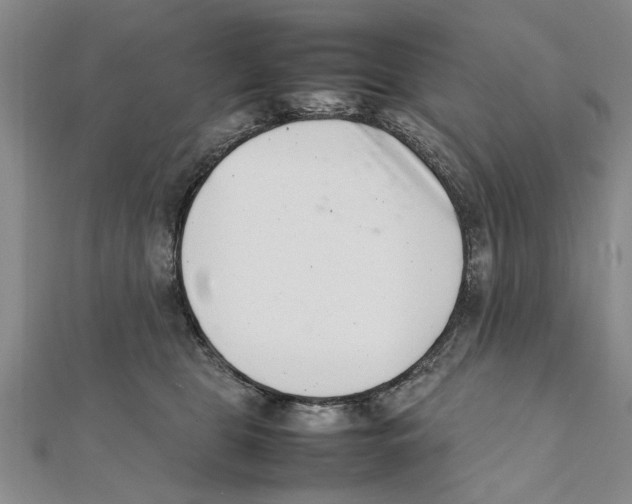 X0000111660469200908141317