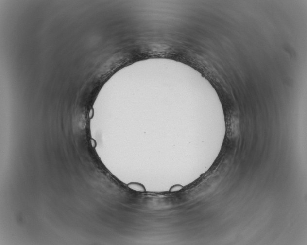 X0000111660472200908141317