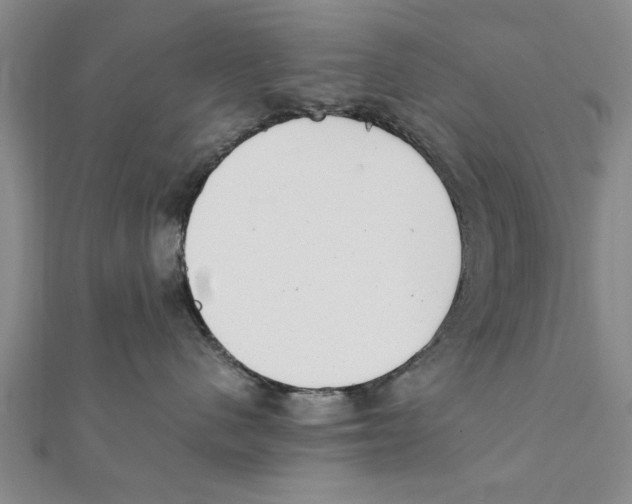 X0000111660480200908141317