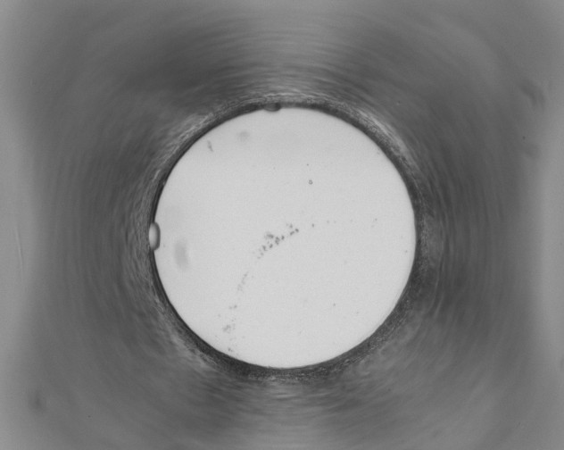 X0000111660481200908141317