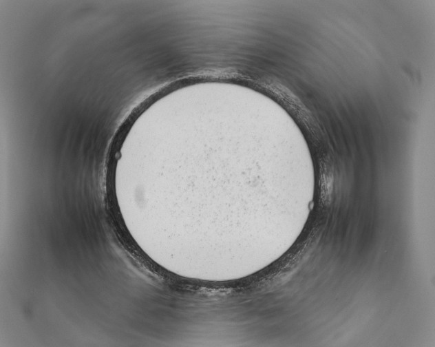 X0000111660484200908141317