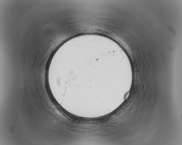 X0000111660485200908141317