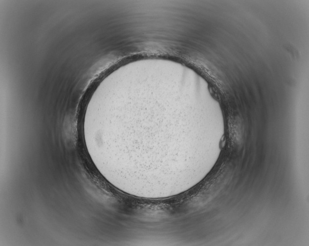 X0000111660488200908141317