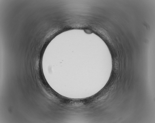 X0000111660491200908141317